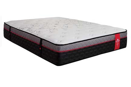 Springwall True North Frontenac Chiropractic Mattress Only-MidwestOnMain
